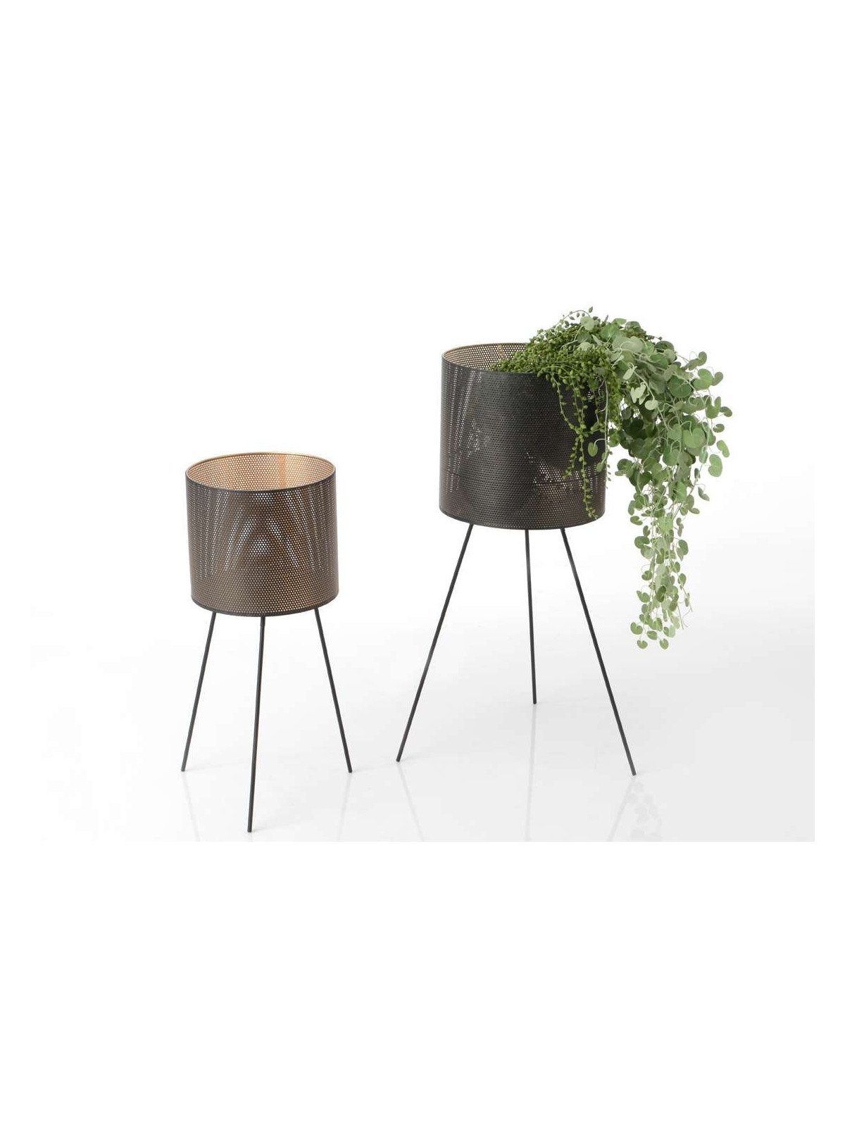 Set de 2 porte-plantes luxe Amadeus