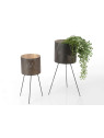 Set de 2 porte-plantes luxe Amadeus