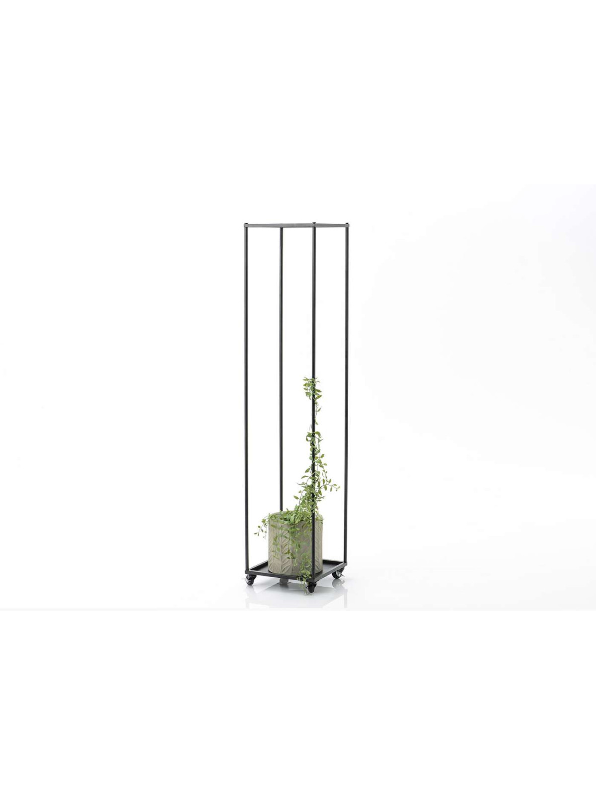 Porte-plantes roulettes Amadeus