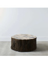 Table basse racine brut