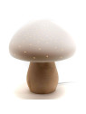 Lot de 2 lampes champignon