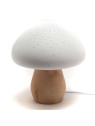 Lot de 2 lampes champignon